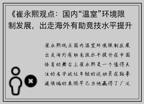 《崔永熙观点：国内“温室”环境限制发展，出走海外有助竞技水平提升》