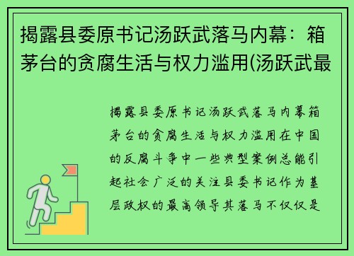 揭露县委原书记汤跃武落马内幕：箱茅台的贪腐生活与权力滥用(汤跃武最新任职)